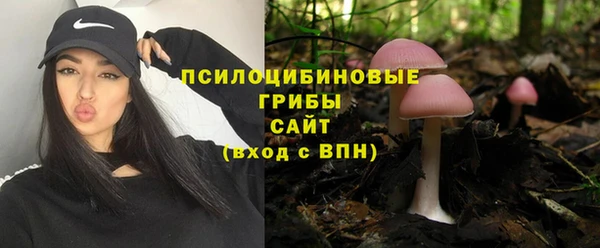 трава Аркадак