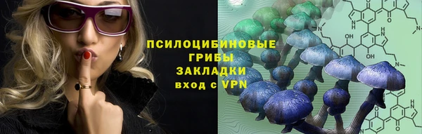 трава Аркадак
