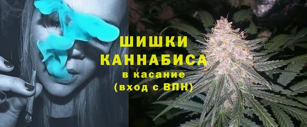 трава Аркадак