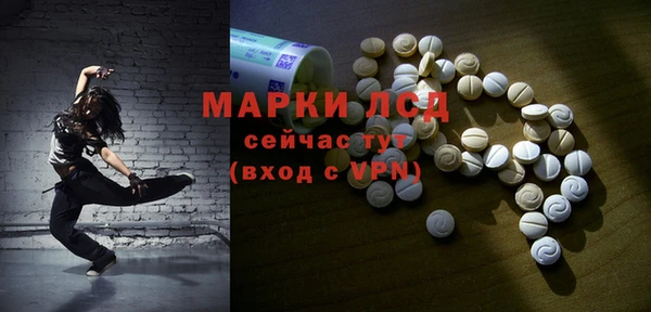 трава Аркадак