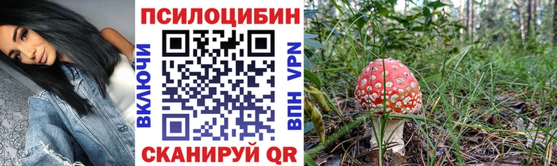 Псилоцибиновые грибы Cubensis  хочу наркоту  Лиски 